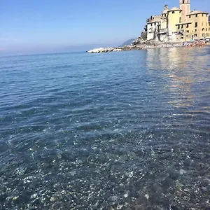 Lamarina Camogli